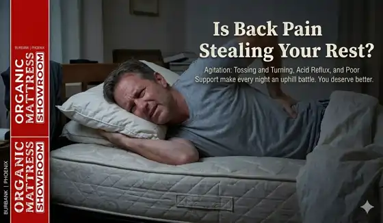 Is back pain stealing your rest?  Electropedic certified organic latex mattress