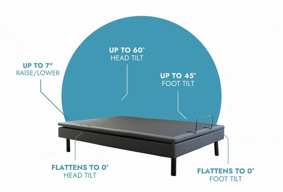 Ergomotion Ascend High-Low Adjustable Bed with Tilt